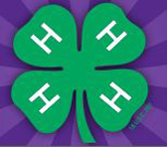 Greenville summer camps